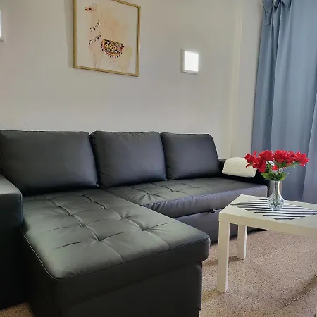 Camelias Playa del Inglés