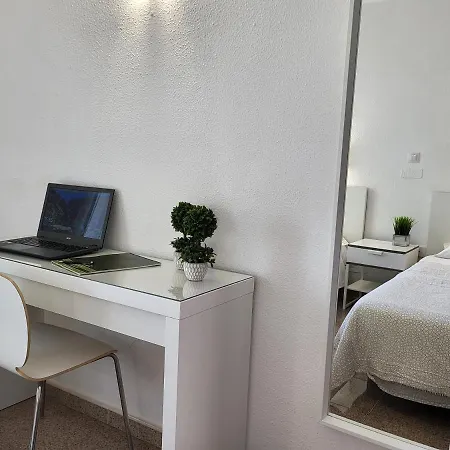 Camelias Playa del Inglés