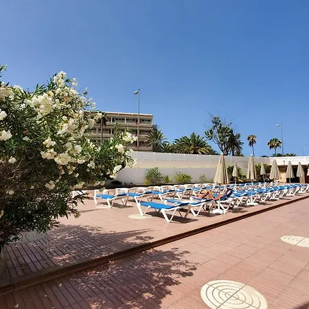 Camelias Playa del Inglés