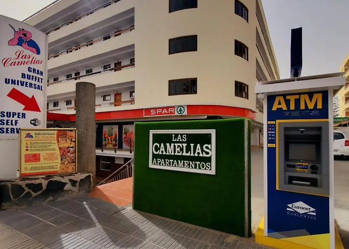 Camelias Playa del Inglés